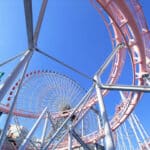 amusement park ride wrongful death